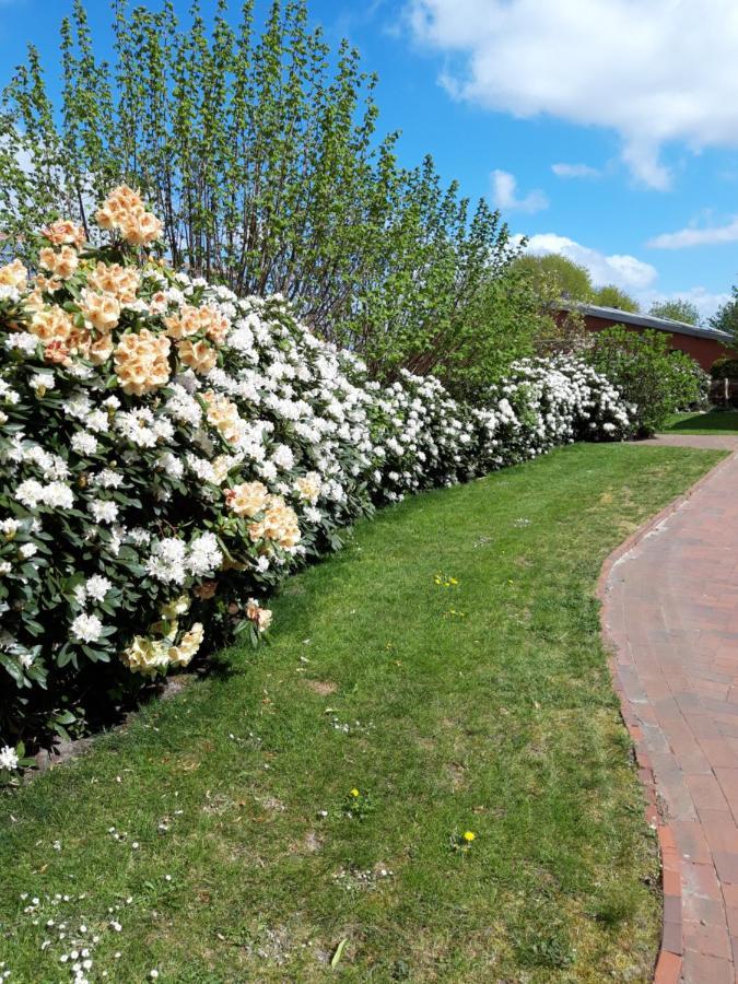 Ferienhof Kleemann Barssel  ภายนอก รูปภาพ